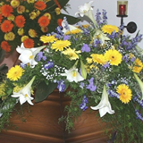 sb_jr_005