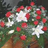 sb_jr_007